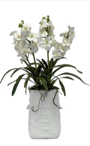 White Mokara Orchids in White Crocodile Print Vase